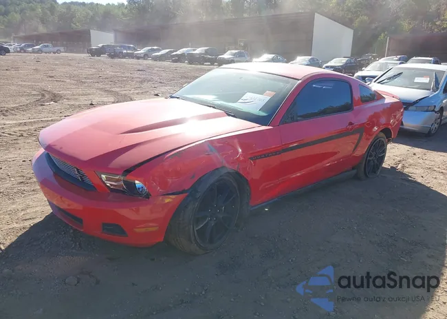 1ZVBP8AM1B5121594: 43431705