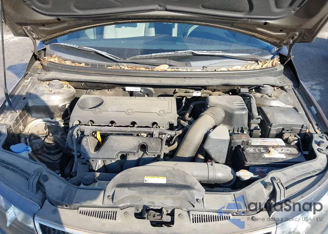 KNAFU4A20A5817556: 43431339