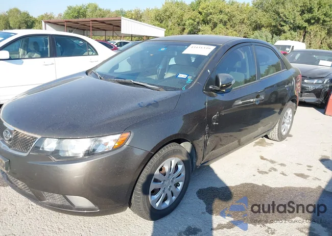 KNAFU4A20A5817556: 43431339