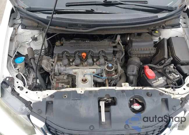 19XFB2F84DE254899: 43431353