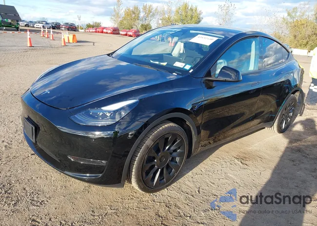 7SAYGDEE4PF877521: 43432440