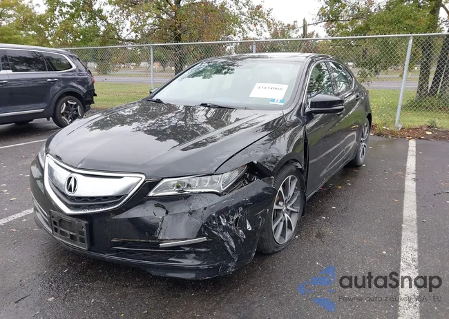 19UUB3F53GA004338: 43434060