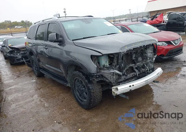 5TDZY5G12JS069833: 43434391