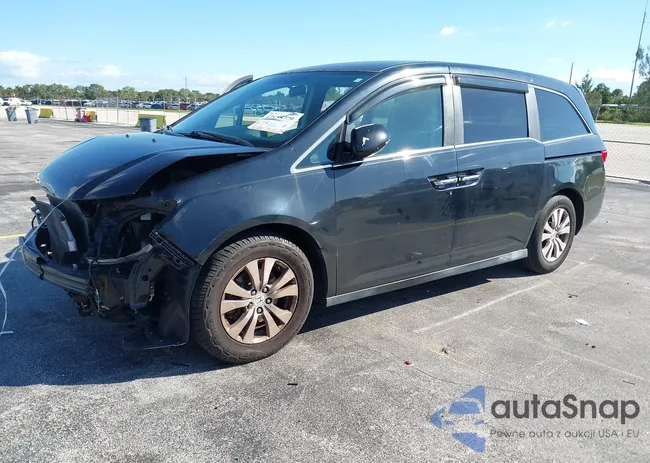 5FNRL5H43EB031206: 43435779