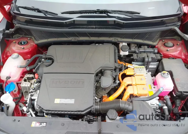 KNDCR3LE3P5098465: 43435390