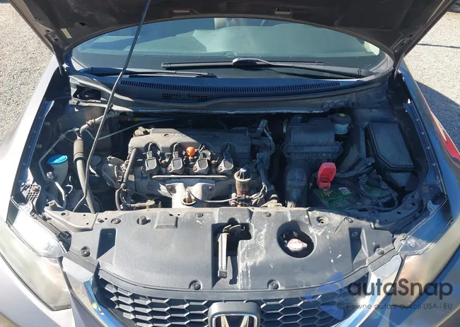 19XFB2F51DE036439: 43435523