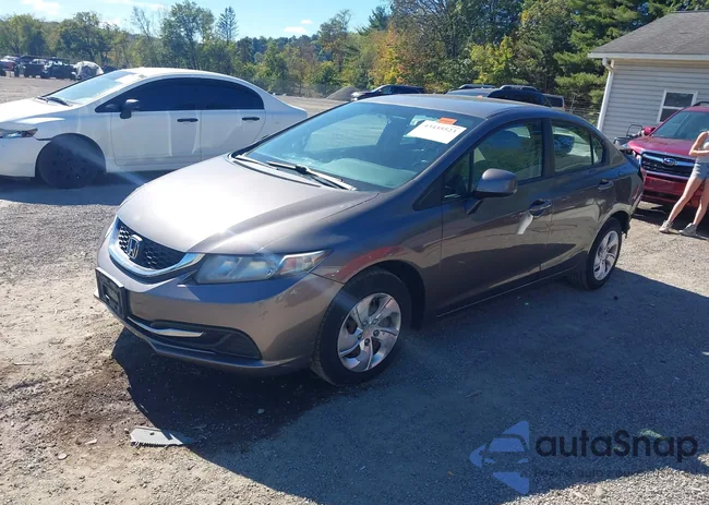 19XFB2F51DE036439: 43435523