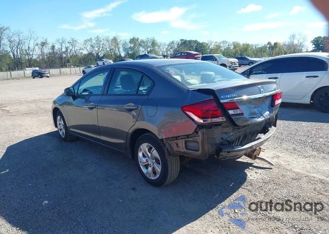 19XFB2F51DE036439: 43435523