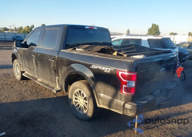 1FTEW1E52KKF04913: 43436831