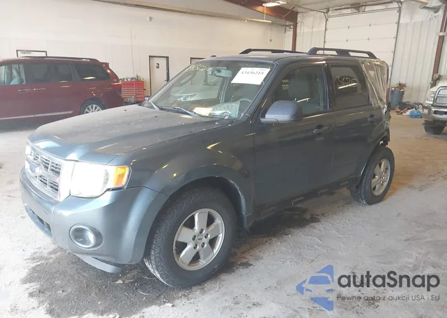 1FMCU0D73BKA67204: 43436215