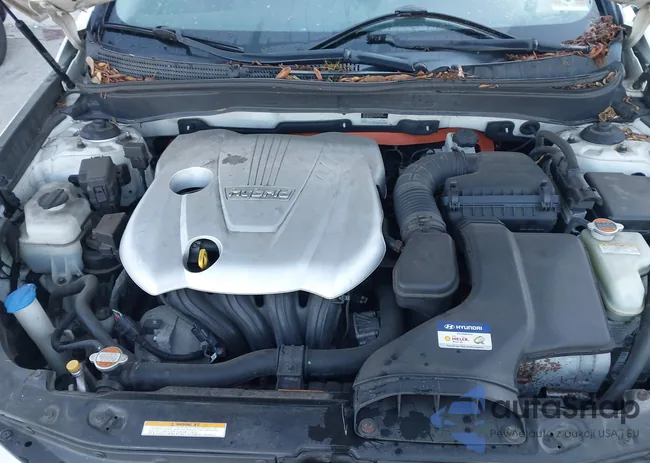 KMHEC4A40BA007013: 43436227