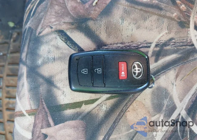 3TYLB5JNXRT049445: 43437852