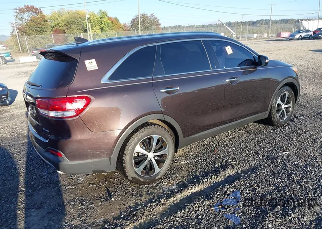 5XYPH4A57JG362556: 43437878