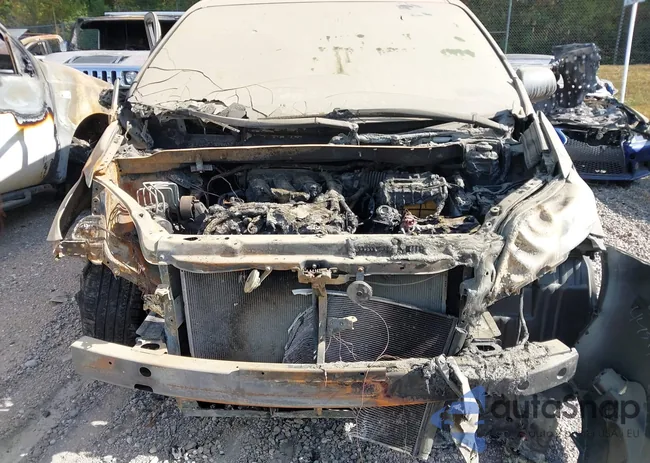 5TDYK3DC0DS382777: 43437952