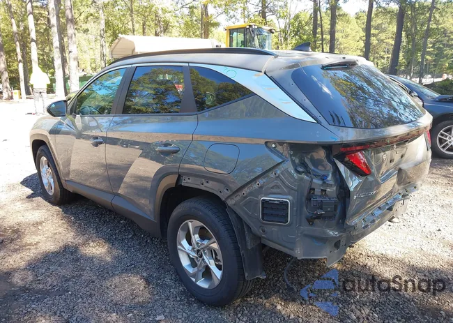 5NMJBCDE4RH302166: 43437397