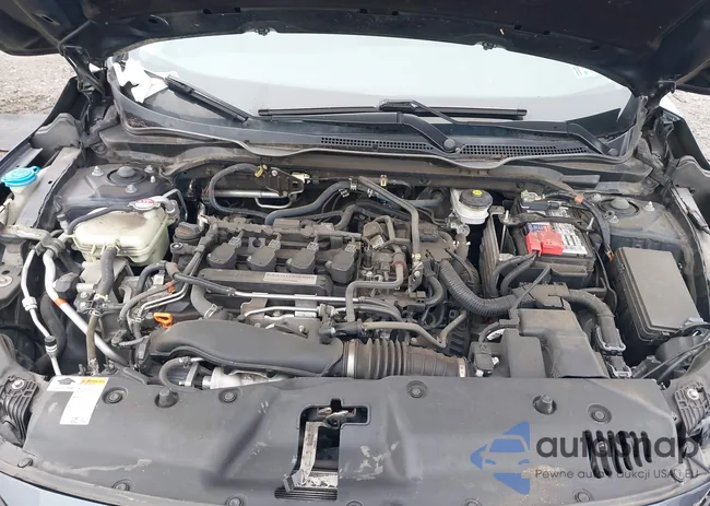 19XFC1F34LE207561: 43438544