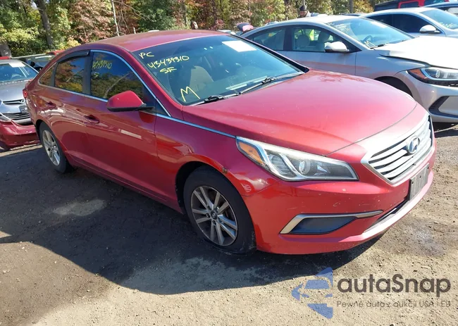 5NPE24AF1GH371952: 43439310