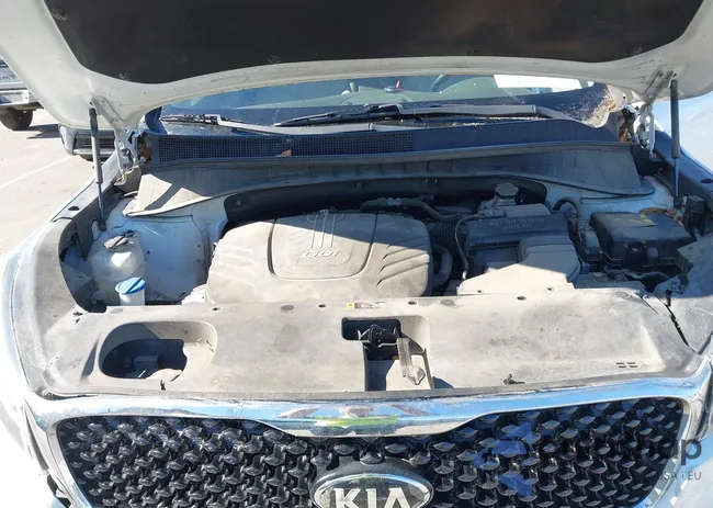 5XYPHDA57GG141516: 43439399