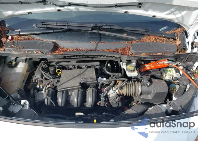 NM0LS7F73H1335132: 43440802