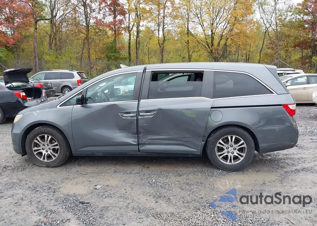 5FNRL5H68DB021982: 43440838