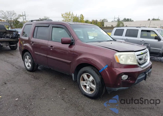 5FNYF48689B020299: 43440243