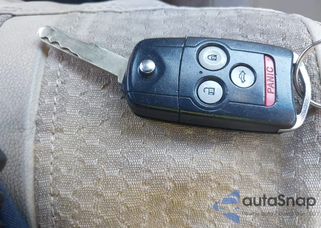 19UUA66258A050863: 43440482