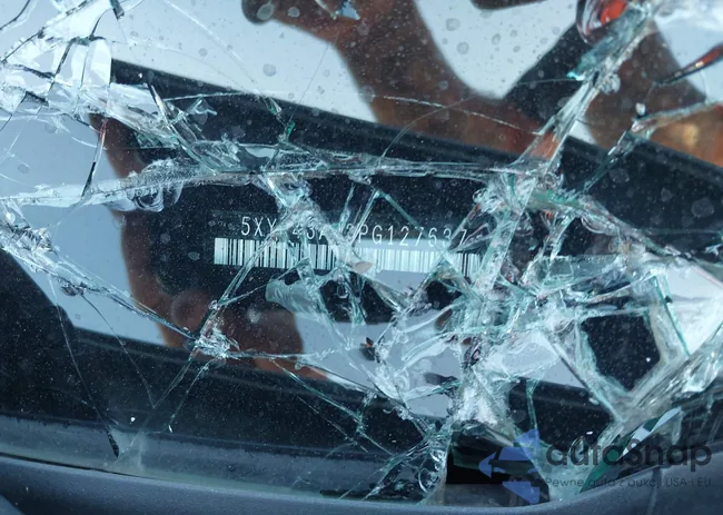 5XYK43AF3PG127637: 43442571