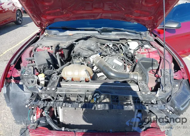 1FA6P8AM8G5261420: 43443017