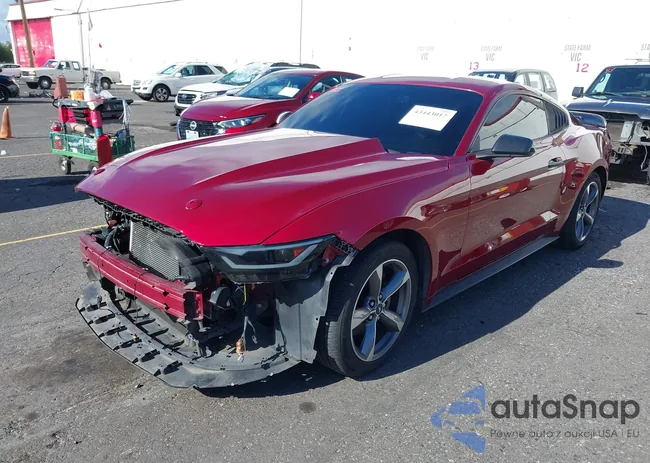 1FA6P8AM8G5261420: 43443017