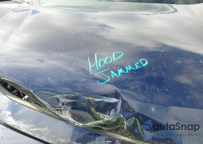 2T3P1RFV1PW384394: 43442454