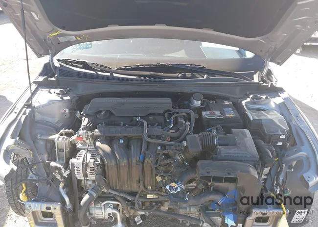 KMHLM4DG3RU755256: 43442511