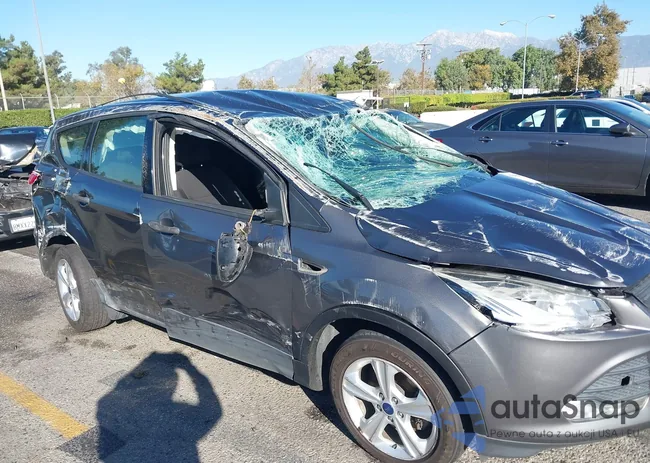 1FMCU0F70FUC12822: 43443924