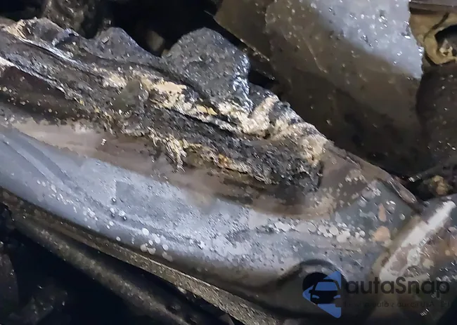 JN1BJ1CW8LW389244: 43444867