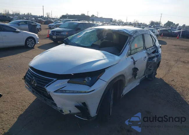 JTJYARBZ0K2136858: 43446070