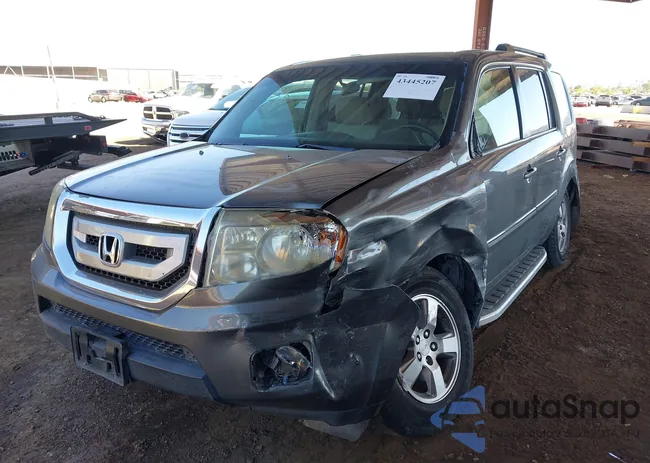 5FNYF48439B003456: 43445207