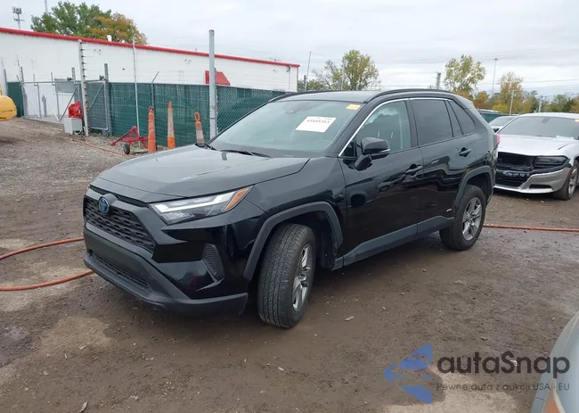 4T3RWRFVXRU160568: 43445313