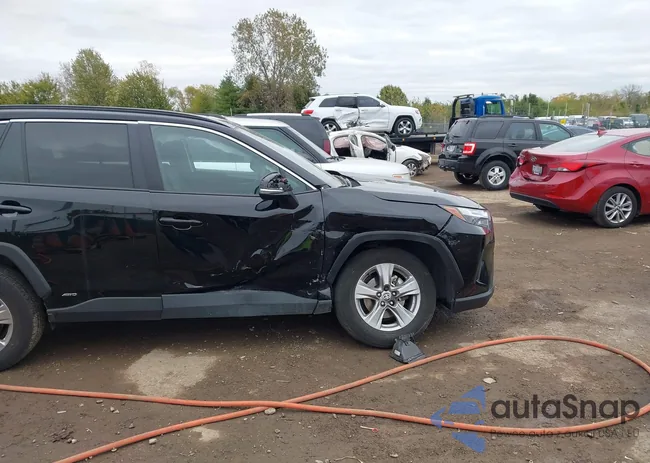 4T3RWRFVXRU160568: 43445313