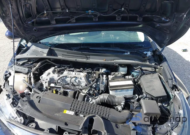 5YFEPMAEXNP367441: 43446612