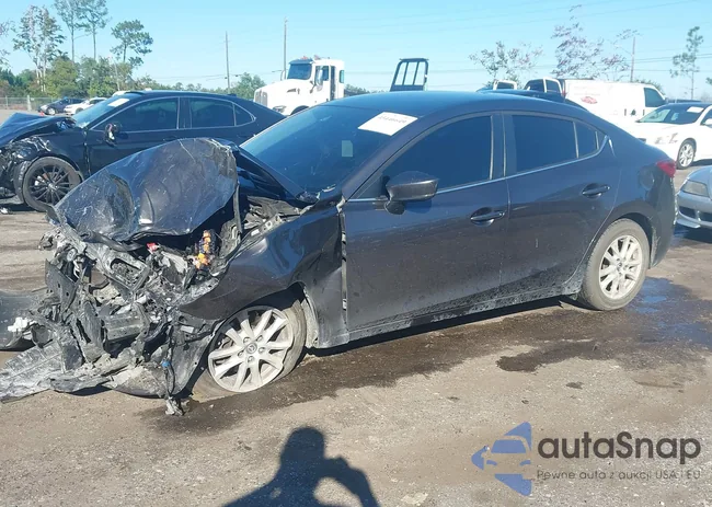 3MZBN1U7XJM230311: 43446649