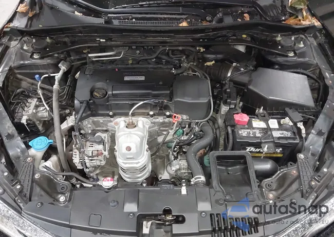 1HGCR2F57GA199426: 43446686