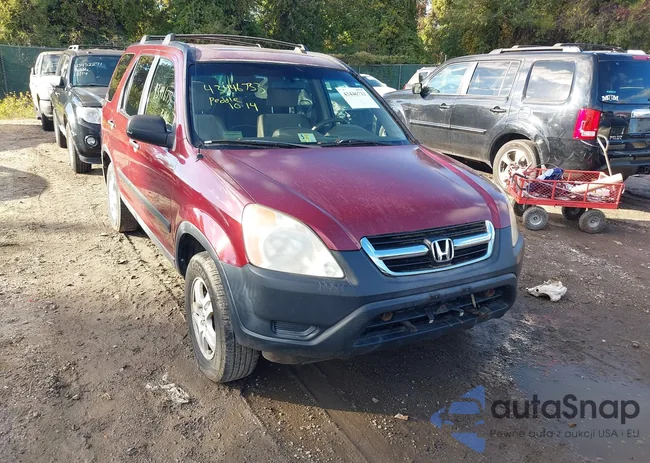 SHSRD78803U119406: 43446733