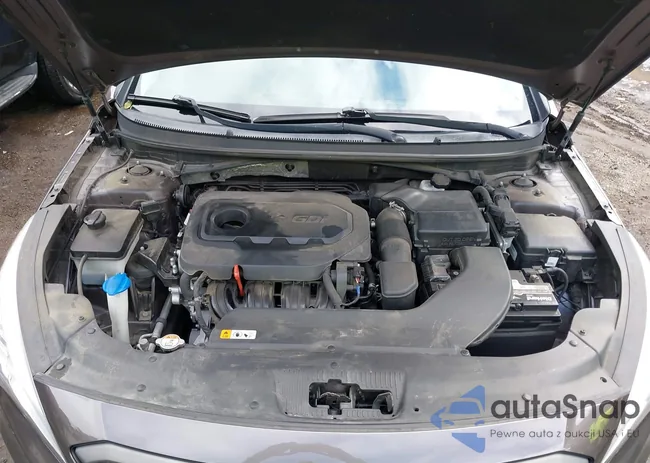 5NPE34AF4GH427783: 43446836