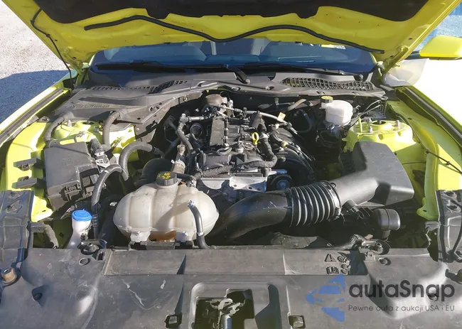 1FA6P8TH7M5138509: 43446238