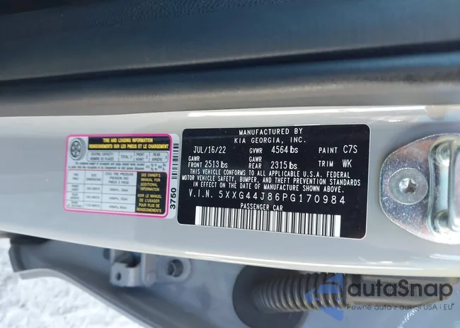 5XXG44J86PG170984: 43448284