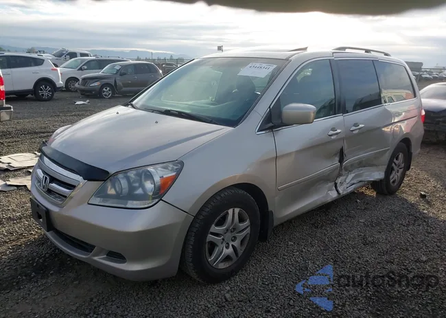 5FNRL38666B419098: 43448341