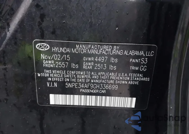 5NPE34AF9GH336699: 43448490