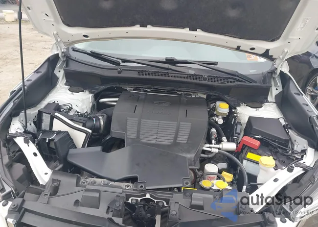 JF2SKAXC9LH585287: 43449604