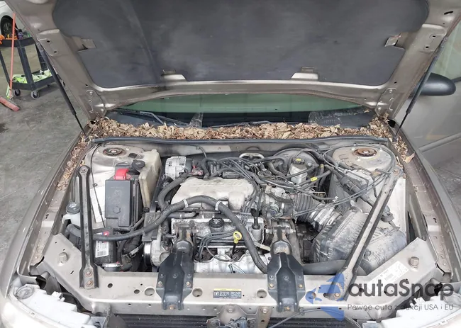 2G4WS52J831217582: 43449250