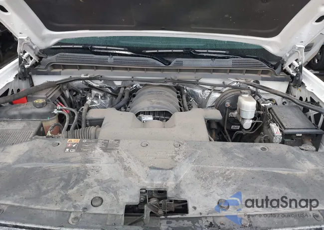 3GCPCRECXGG105499: 43449341