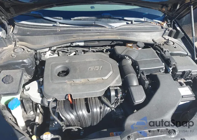 5XXGU4L39GG058908: 43449438